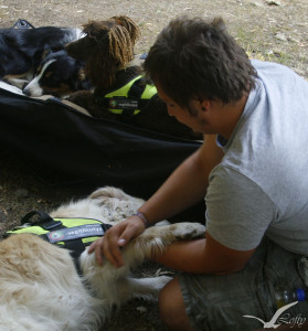 fotó: Burányi Virág