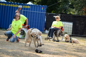 fotó: Hámori Zsófia