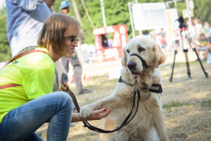 fotó: Hámori Zsófia