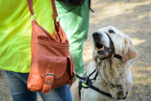 fotó: Hámori Zsófia