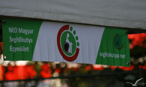 fotó: Burányi Virág