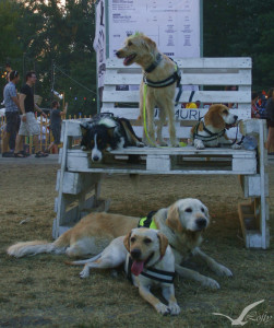 fotó: Burányi Virág