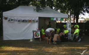 fotó: Burányi Virág